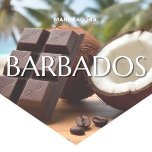 Barbados suklaa-kookos kahvi suklaakahvi makukahvi
