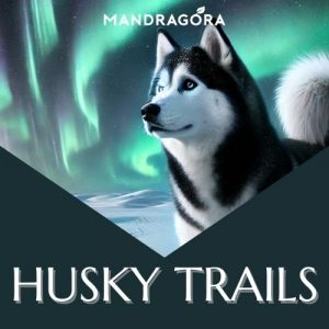 Husky trails - musta tee - musta irtotee - hedelmäinen tee - Mandragora - matkamuisto