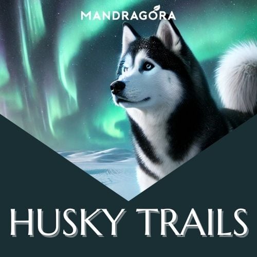 Husky trails - musta tee - musta irtotee - hedelmäinen tee - Mandragora - matkamuisto