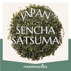 Japan sencha satsuma vihreä tee - irtotee - maustamaton tee - laadukas tee - Mandragora