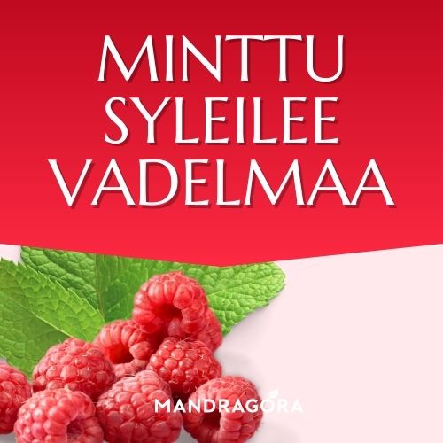 Minttu syleilee vadelmaa - vihreä tee - vihreä irtotee - teekauppa - laadukas tee - maustettu tee - Mandragora