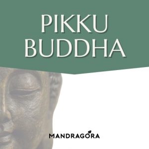 Pikku Buddha - vihreä tee - sencha tee - irtotee - laadukas tee - teekauppa - Mandragora