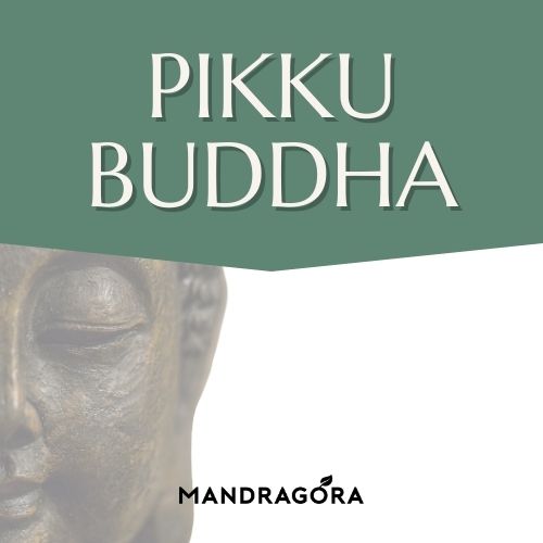 Pikku Buddha - vihreä tee - sencha tee - irtotee - laadukas tee - teekauppa - Mandragora