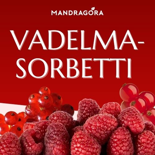 Vadelmasorbetti - vihreä tee - valkoinen tee - vadelmatee - marjatee - irtotee - Mandragora