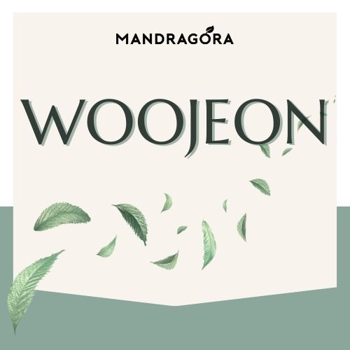Woojeon vihreä tee - luomutee - irtotee - Mandragora - laatutee - laadukas tee