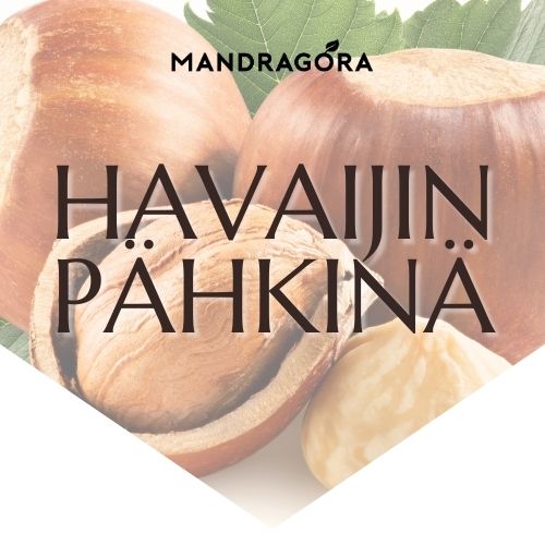 Havaijin pähkinä - pähkinäkahvi - makukahvi - Mandragora