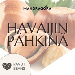 Kahvipavut - Havaijin pähkinä - pähkinäkahvi - makukahvi - Mandragora
