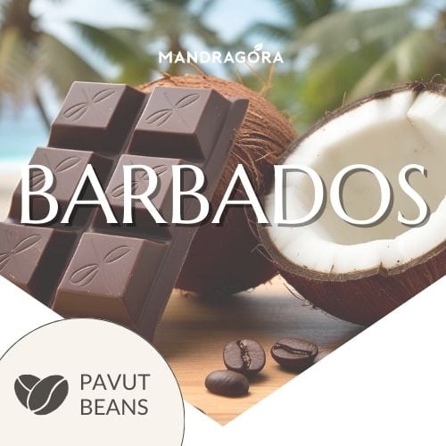 Kahvipavut - Barbados suklaa-kookos kahvi suklaakahvi makukahvi