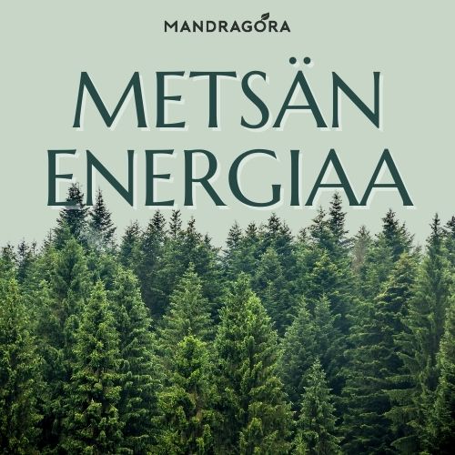 Rooibos Metsän Energiaa 50 g