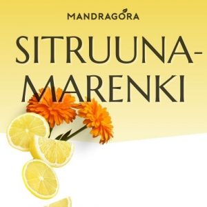 Sitruunamarenki - sitruunatee - vihreä tee - sencha tee - irtotee - laadukas tee - Mandragora