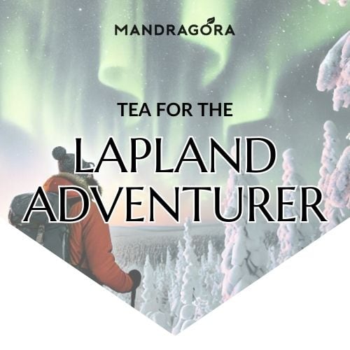 Lapland Adventurer - musta tee - maté tee - piristävä tee - irtotee - Mandragora - matkamuisto