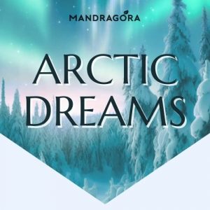 Arctic Dreams - yrttitee - rauhoittava tee - tee ilman kofeiinia - yrttihauduke - Mandragora
