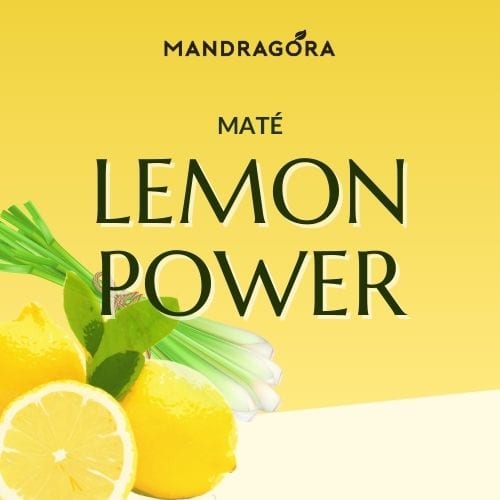 Maté Lemon Power 50 g