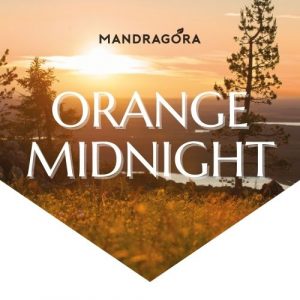 Orange Midnight - earl grey - musta tee - irtotee - teekauppa - Mandragora - laadukas tee