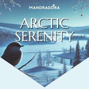 Arctic Serenity - yrttitee - yrttihauduke - irtotee - teekauppa - iltatee - tee ilman kofeiinia - Mandragora