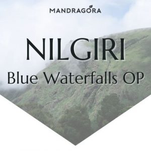 Nilgiri Blue Waterfalls OP - vihreä tee - intialainen tee - irtotee - maustamaton tee - Mandragora